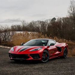 Dynamic TINT & Paint Protection Film (PPF) Marlton ico