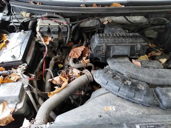 S & S Auto and Transmission Repair 1