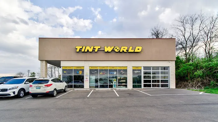 Tint World 5