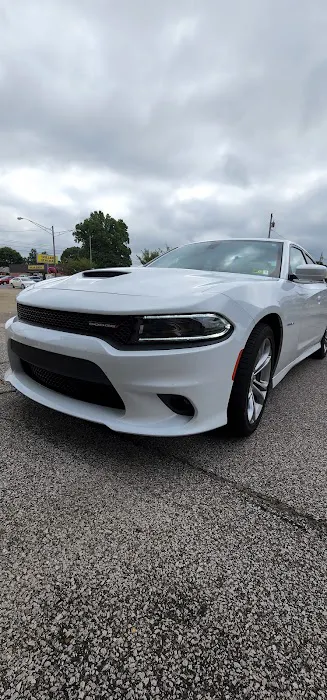 Auto Tint & Trim 1