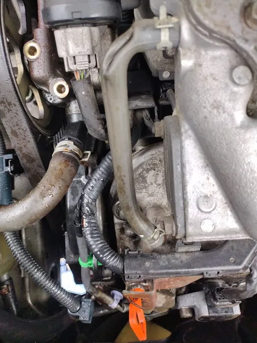 Wagner Automotive 7