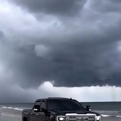 Nayarit Smog ico