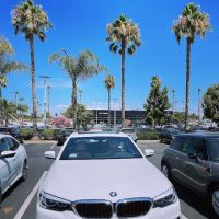 Fields Auto Body