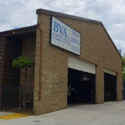 BVA Independent Service Specialists ico
