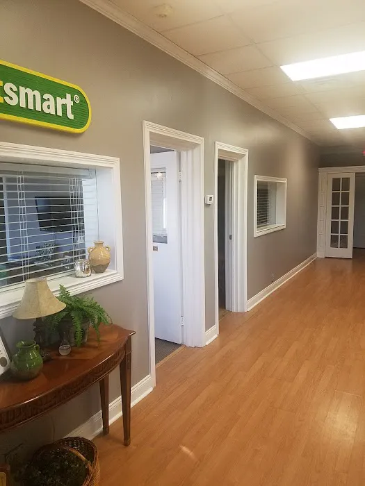 Dentsmart 7