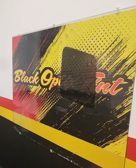 Black Optix Tint 5