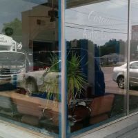 Carolina Auto Experts