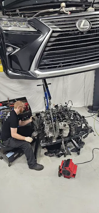 Potter Automotive 8