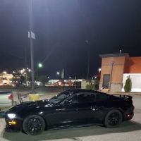 Pro-Form Paint & Body