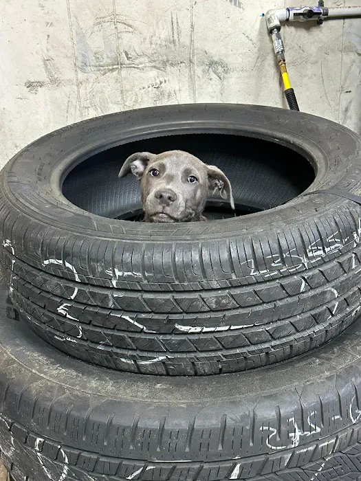 Rapido Tires Service 7