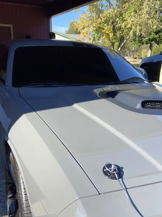 P's Pro Tints 6