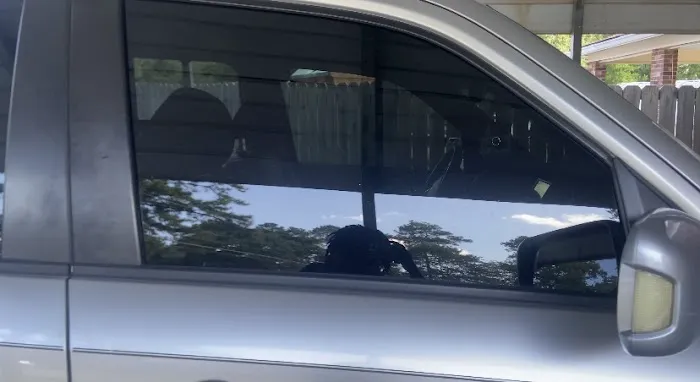 P's Pro Tints 7