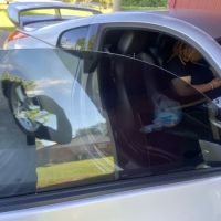 P's Pro Tints