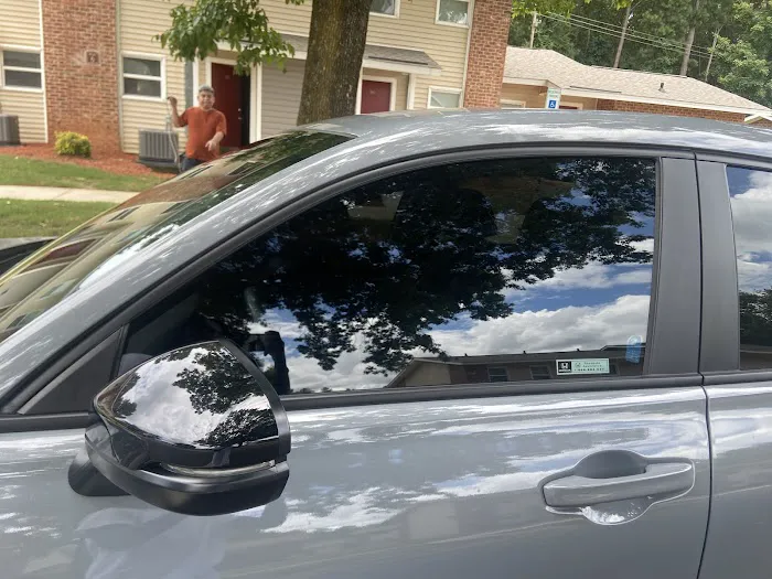 P's Pro Tints 2