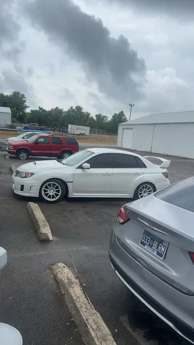 Exclusive Tintz 2