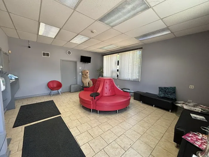All Suburban Automobile Center 0