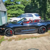 Molinaro's Collision Center