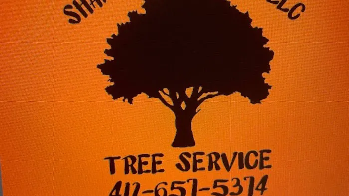Shane Holland Enterprises LLC 2