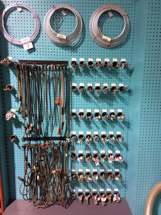 Damon Auto Parts Store 2