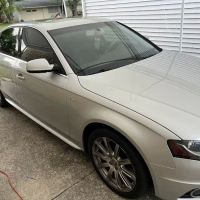 Ponki Monkey’s Window Tint