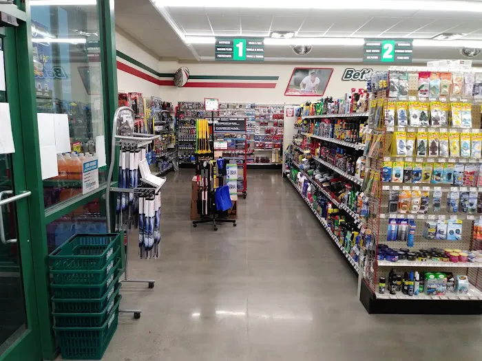 O'Reilly Auto Parts 6