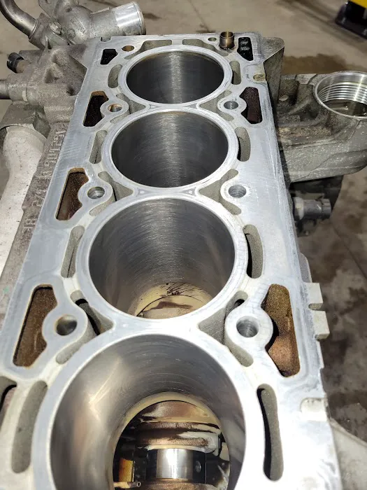 Deer Fly Motors 5