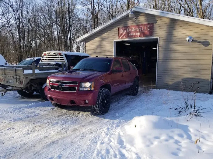 Deer Fly Motors 6