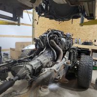 Deer Fly Motors