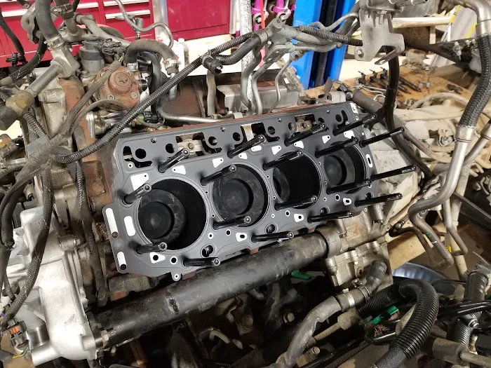 Deer Fly Motors 1