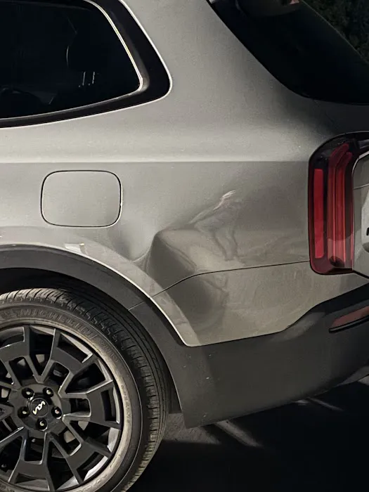 Dent Tec 6