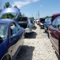 Walter's Auto Salvage