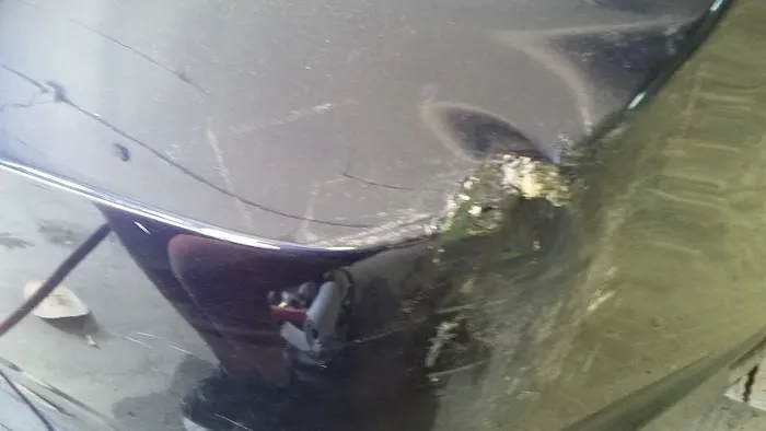 Phat Headz Auto Body 0