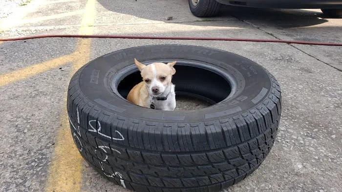 Down River Tire 0