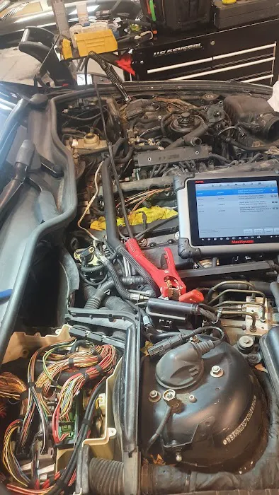 Mzansi Imports and Performance 2