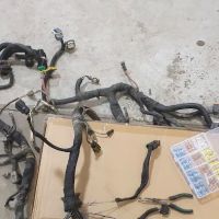 Mzansi Imports and Performance