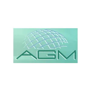 AGM Automotive 0