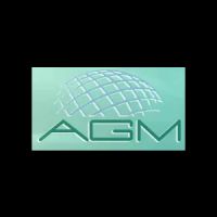AGM Automotive