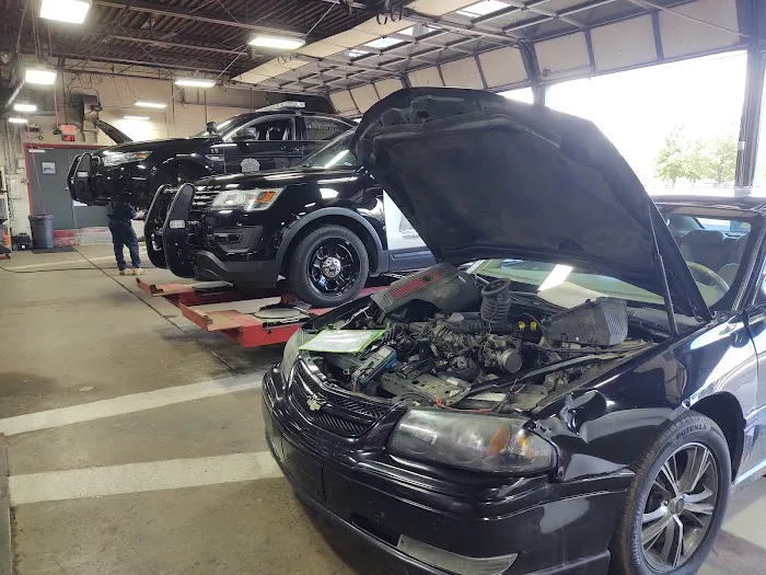 Car Fix Shelby 5