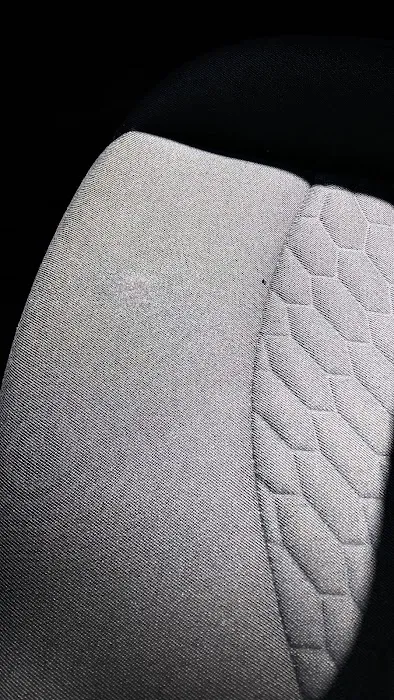 Shelby Auto Trim 9