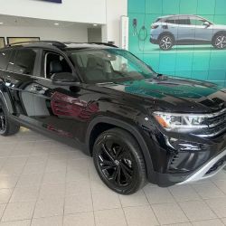 Team Volkswagen of Hayward Service ico