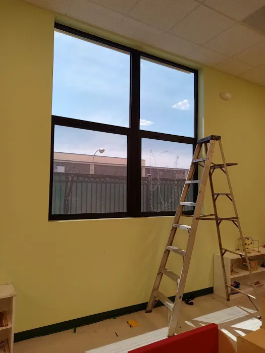 Golden Stereo Window Tint 4