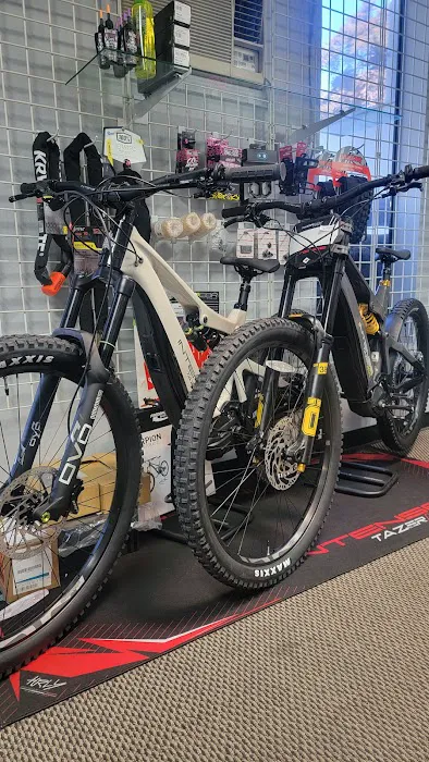 Metal Dragon - Harley Specialist / E-Bikes 1