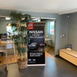 Hayward Nissan Parts ico