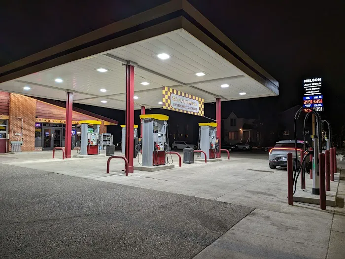 Nelson Auto World 3