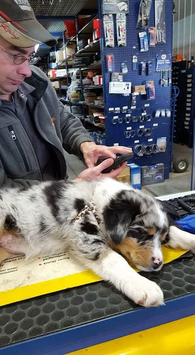 NAPA Auto Parts - Chippewa Auto Parts 1