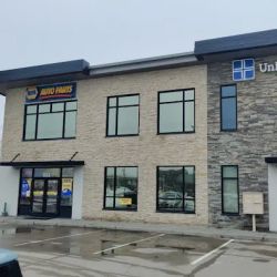NAPA Auto Parts ico