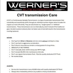 Werner's Elite Automotive ico