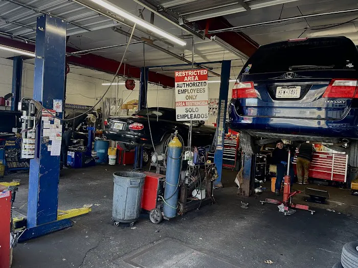 Palomino Auto Service 3