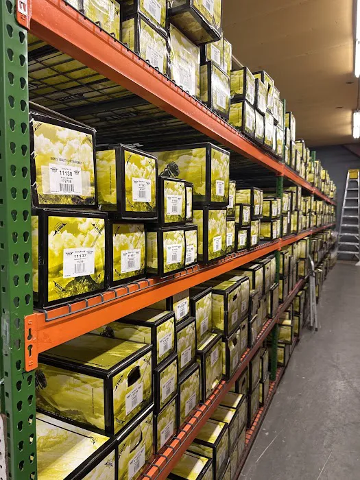 Wilson's Auto parts 5