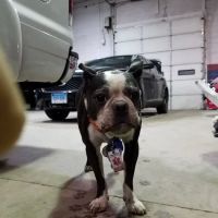 J & M Auto Body